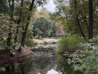 Обзор смартфона Apple iPhone 17: долгожданные улучшения