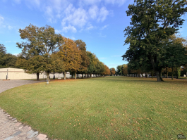 Обзор смартфона Apple iPhone 17: долгожданные улучшения