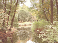 Обзор смартфона Apple iPhone 17: долгожданные улучшения