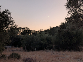 Обзор смартфона Google Pixel 10 Pro XL: магнитная аномалия