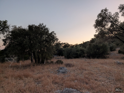 Обзор смартфона Google Pixel 10 Pro XL: магнитная аномалия