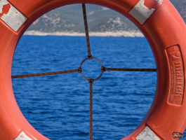 Обзор смартфона Google Pixel 10 Pro XL: магнитная аномалия