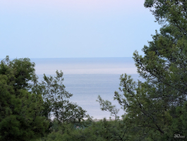 Обзор смартфона Google Pixel 10 Pro XL: магнитная аномалия