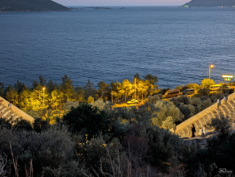 Обзор смартфона Google Pixel 10 Pro XL: магнитная аномалия