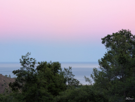 Обзор смартфона Google Pixel 10 Pro XL: магнитная аномалия