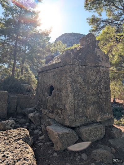 Обзор смартфона Google Pixel 10 Pro XL: магнитная аномалия