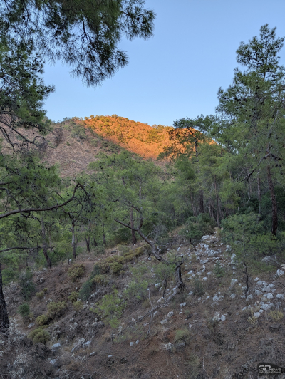 Обзор смартфона Google Pixel 10 Pro XL: магнитная аномалия