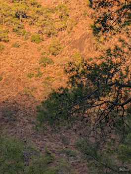 Обзор смартфона Google Pixel 10 Pro XL: магнитная аномалия