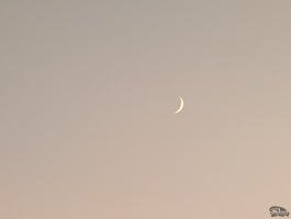 Обзор смартфона Google Pixel 10 Pro XL: магнитная аномалия