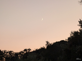 Обзор смартфона Google Pixel 10 Pro XL: магнитная аномалия