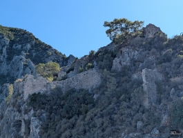 Обзор смартфона Google Pixel 10 Pro XL: магнитная аномалия