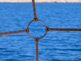 Обзор смартфона Google Pixel 10 Pro XL: магнитная аномалия