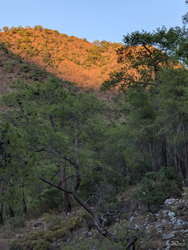 Обзор смартфона Google Pixel 10 Pro XL: магнитная аномалия