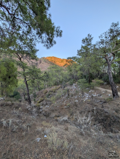 Обзор смартфона Google Pixel 10 Pro XL: магнитная аномалия