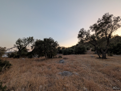 Обзор смартфона Google Pixel 10 Pro XL: магнитная аномалия