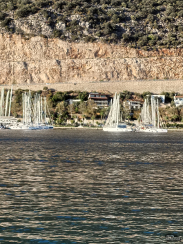 Обзор смартфона HUAWEI nova 14: плоский красавец с крутыми камерами