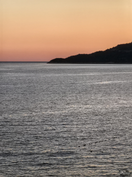 Обзор смартфона HUAWEI nova 14: плоский красавец с крутыми камерами