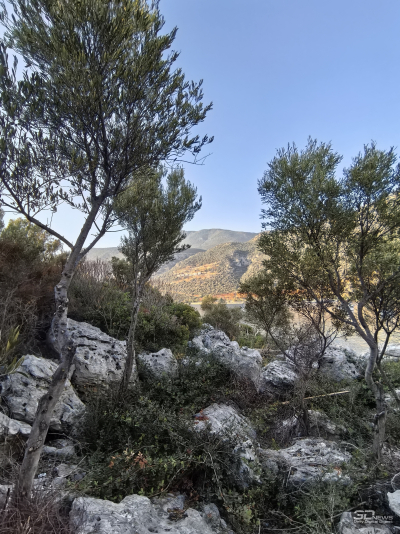 Обзор смартфона HUAWEI nova 14: плоский красавец с крутыми камерами