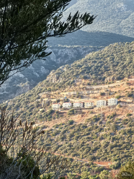 Обзор смартфона HUAWEI nova 14: плоский красавец с крутыми камерами