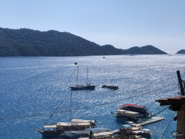 Обзор смартфона HUAWEI nova 14: плоский красавец с крутыми камерами