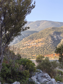 Обзор смартфона HUAWEI nova 14: плоский красавец с крутыми камерами