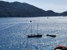 Обзор смартфона HUAWEI nova 14: плоский красавец с крутыми камерами