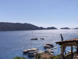 Обзор смартфона HUAWEI nova 14: плоский красавец с крутыми камерами