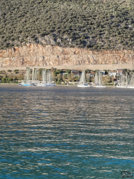 Обзор смартфона HUAWEI nova 14: плоский красавец с крутыми камерами