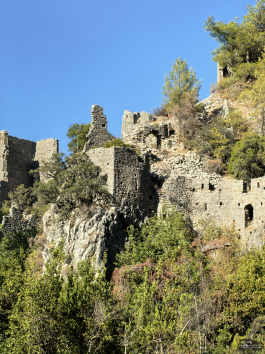 Обзор смартфона HUAWEI nova 14 Pro: покажет все как есть