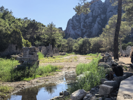 Обзор смартфона HUAWEI nova 14 Pro: покажет все как есть