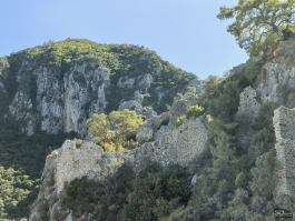 Обзор смартфона HUAWEI nova 14 Pro: покажет все как есть