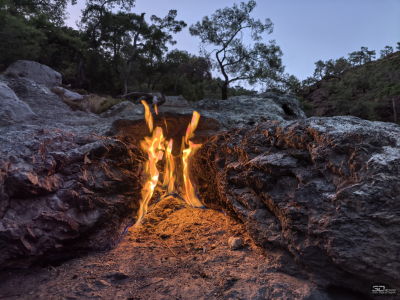 Обзор смартфона HUAWEI nova 14 Pro: покажет все как есть