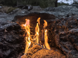 Обзор смартфона HUAWEI nova 14 Pro: покажет все как есть