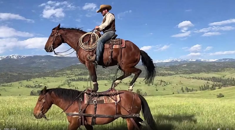 Приложение Sora стала хитом скачиваний в App Store, несмотря на ограниченный доступ