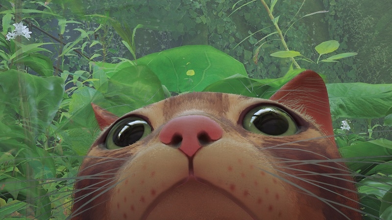 &laquo;Stray &mdash; игра хорошая, но месяц ужасный&raquo;: ноябрьская линейка PS Plus не впечатлила пользователей