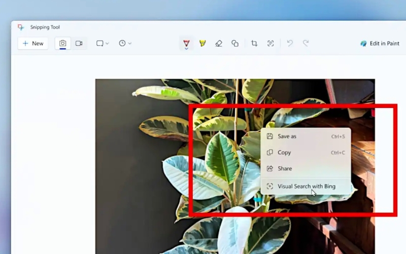В Windows 11 появился встроенный аналог &laquo;Google Объектива&raquo; &mdash; в &laquo;Ножницы&raquo; добавили&nbsp;визуальный поиск