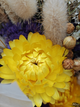 Обзор смартфона OnePlus 15: самый мощный смартфон осени 2025