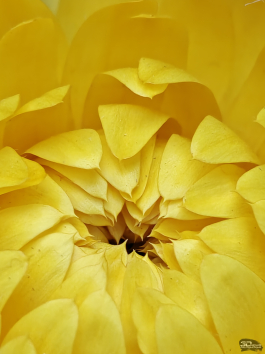 Обзор смартфона OnePlus 15: самый мощный смартфон осени 2025