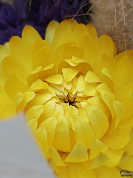 Обзор смартфона OnePlus 15: самый мощный смартфон осени 2025