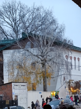 Обзор смартфона OnePlus 15: самый мощный смартфон осени 2025