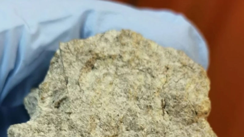 Осколки зелёного болида, замеченного в небе Москвы, выдали в нём крайне редкий для России тип метеоритов