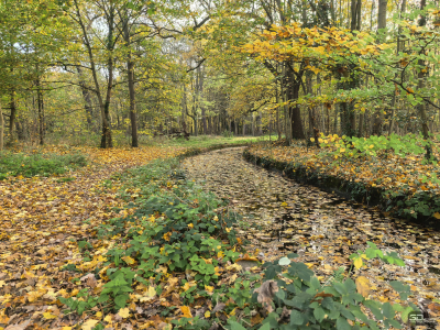 Смартфон HUAWEI Pura 80 Pro как универсальный инструмент тревел-фотографа