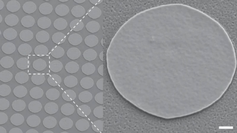 В MIT придумали чипирование без хирургии &mdash; имплант доберётся в мозг верхом на иммунных клетках