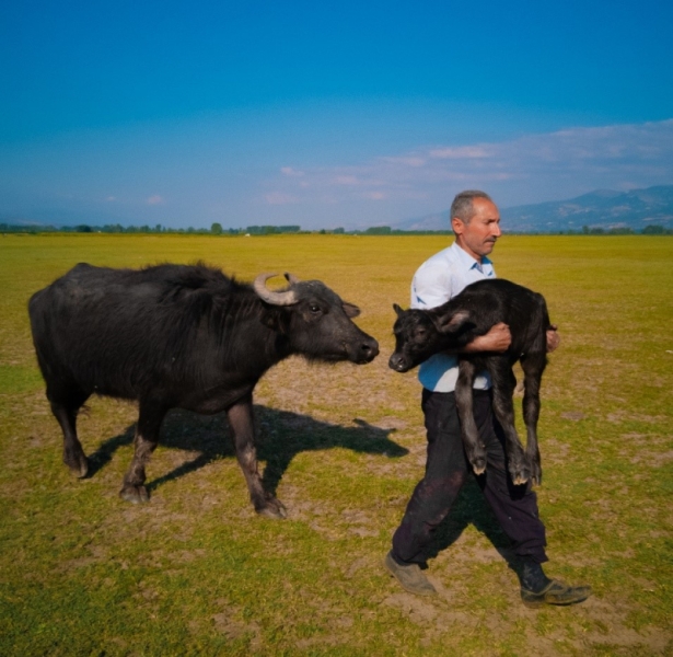 В Париже открылась фотовыставка &laquo;Мир, я и ты&raquo; &mdash; на ней вручили награды победителям фотоконкурса Huawei Xmage Awards 2025