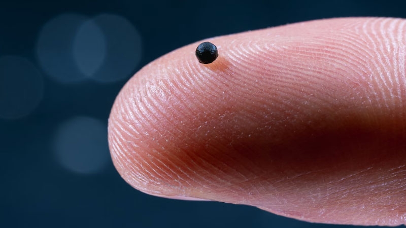 В Швейцарии создали крошечного робота-курьера для адресной доставки лекарств по венам