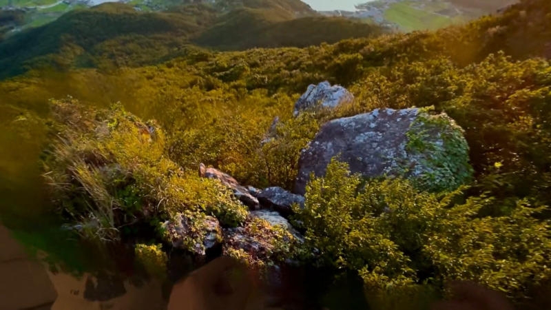 Apple научила ИИ строить 3D-сцены по одному фото &mdash; быстро и без домыслов