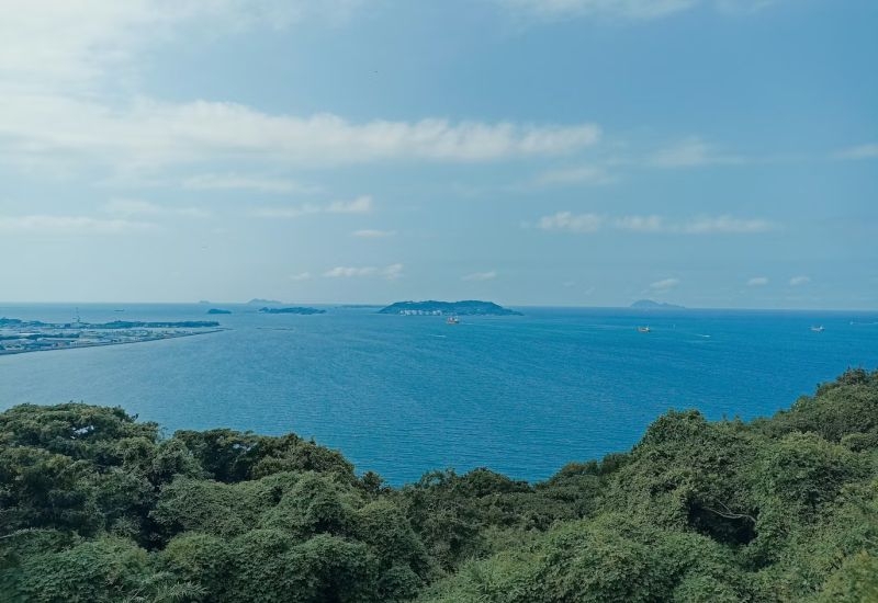 Дары моря: в Японии запустят проект по добыче редкоземельных минералов с глубины 6000 метров