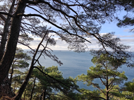 Обзор OnePlus 15R: почти флагман по цене смартфона среднего класса