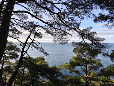 Обзор OnePlus 15R: почти флагман по цене смартфона среднего класса