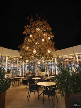 Обзор OnePlus 15R: почти флагман по цене смартфона среднего класса